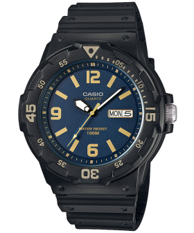 CASIO MRW-200H-2B3VEF